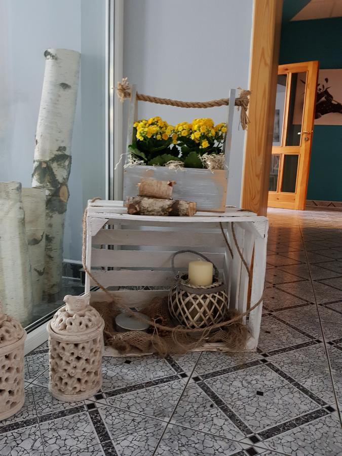 Willa Scandia Duszniki Zdrój Exterior foto